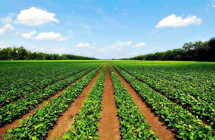 Wholesale agricultural and industrial chemicals you can rely on.